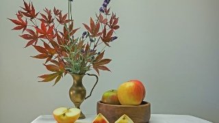 得了滴虫性阴道炎能怀孕吗