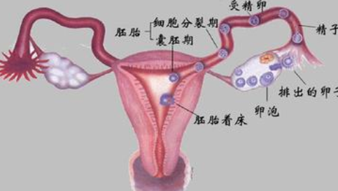 引起宫颈性不孕的原因是什么